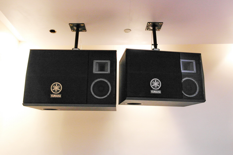 15vip太阳成专业音响新产品亮相PALM EXPO 2013展会 