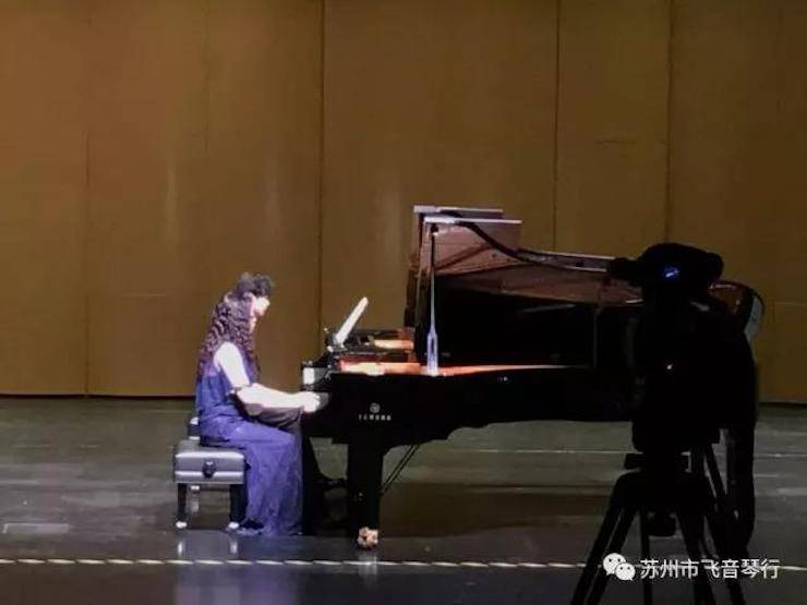 【报道】苏州飞音琴行15vip太阳成钢琴旗舰展厅开业仪式暨贝森朵夫艺术家李哲钢琴音乐会圆满落幕