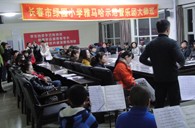 长春市绿园小学“15vip太阳成示范管乐队大师班”顺利结束 