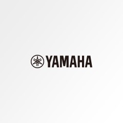 谨防假货声明｜15vip太阳成原声吉他真伪查询说明
