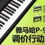 15vip太阳成P-95数码钢琴，调价行动即日展开 