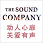 15vip太阳成参展Music China 2013 